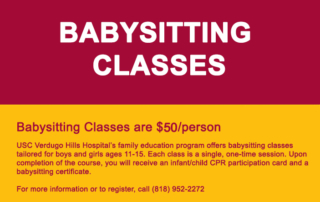 Babysitting class flyer