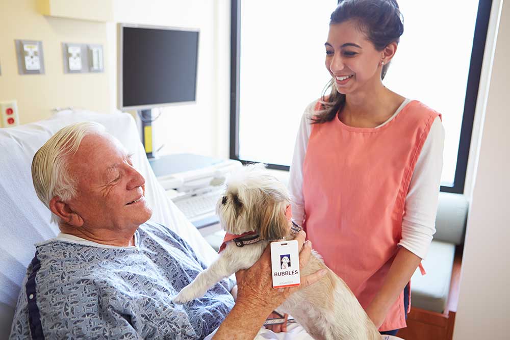 Senior male patient and female volunteer smile while holding a pet therapy dog in a hospital room